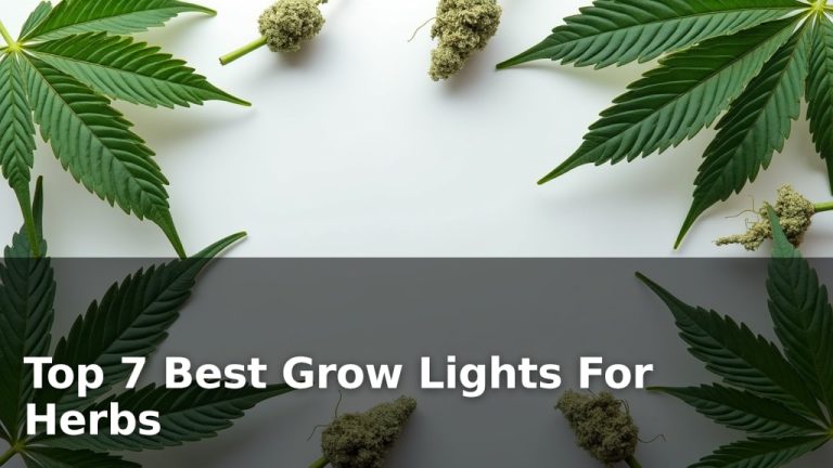 Top 7 Best Grow Lights For Herbs