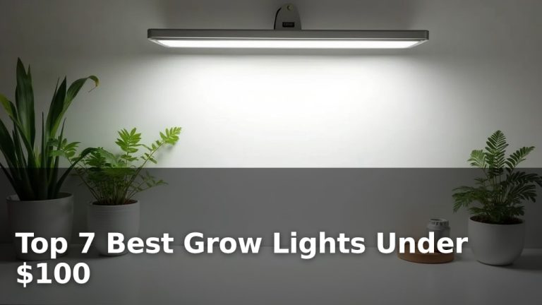 Top 7 Best Grow Lights Under $100