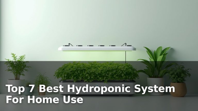 Top 7 Best Hydroponic System For Home Use