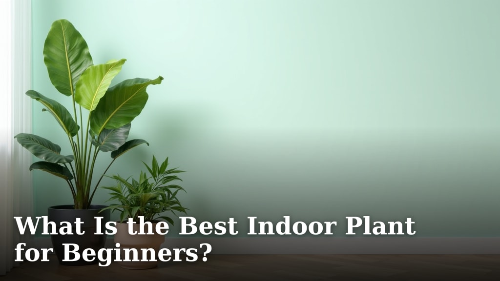 What Is the Best Indoor Plant for Beginners?