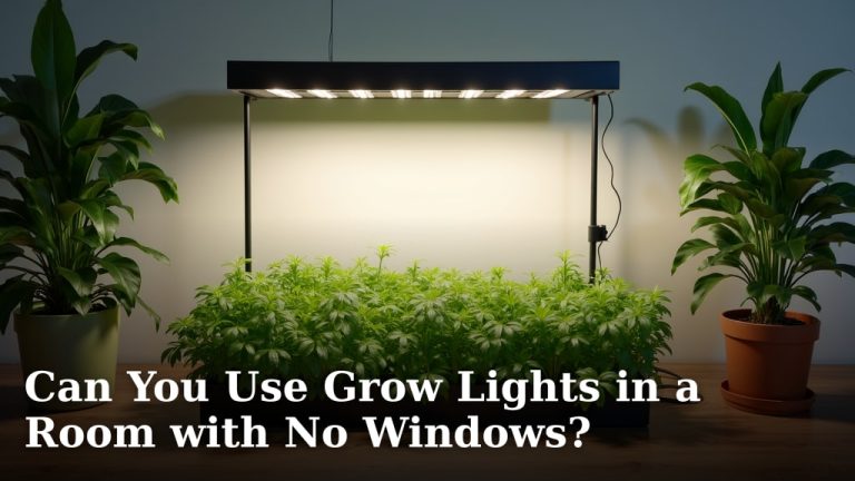 Can You Use Grow Lights in a Room with No Windows?
