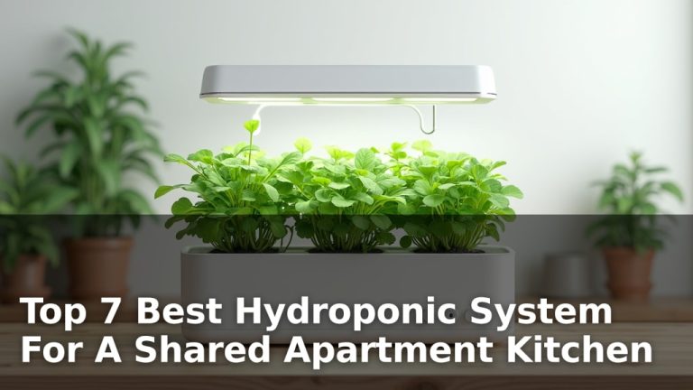 Top 7 Best Hydroponic System For A Shared Apartment Kitchen