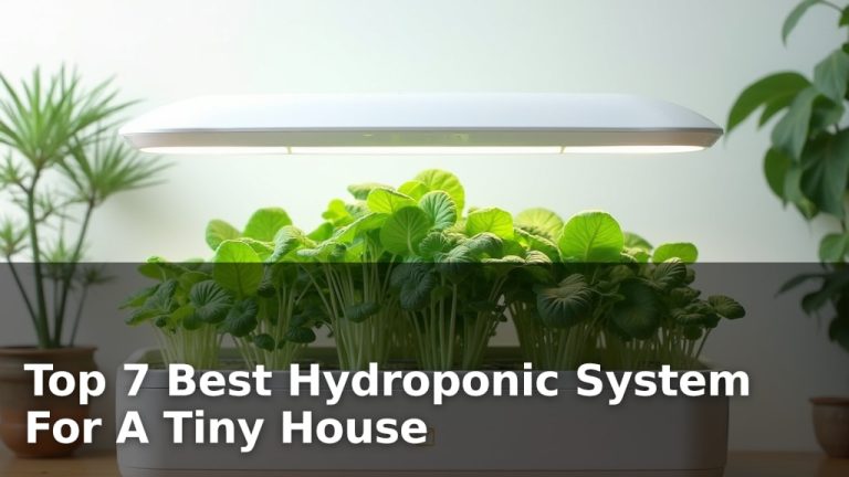 Top 7 Best Hydroponic System For A Tiny House
