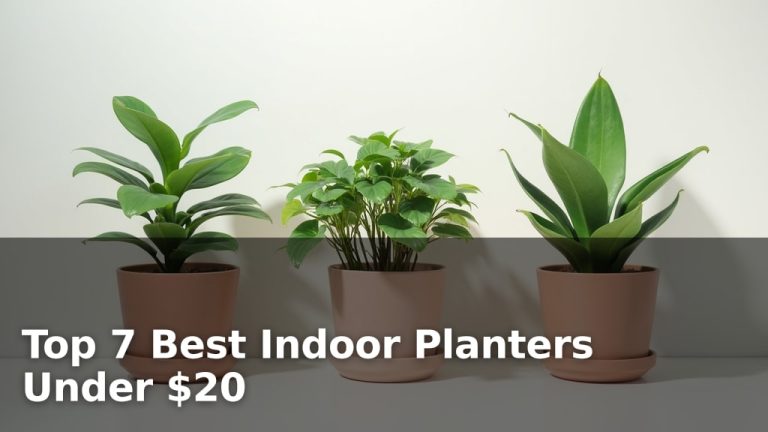 Top 7 Best Indoor Planters Under $20