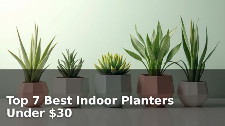Top 7 Best Indoor Planters Under $30