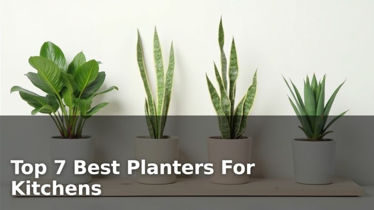 Top 7 Best Planters For Kitchens