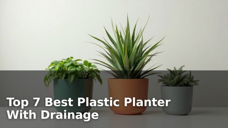 Top 7 Best Plastic Planter With Drainage