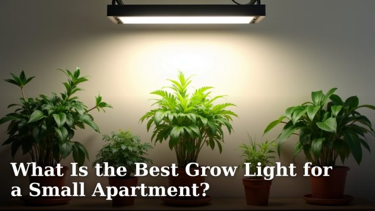 What Is the Best Grow Light for a Small Apartment?
