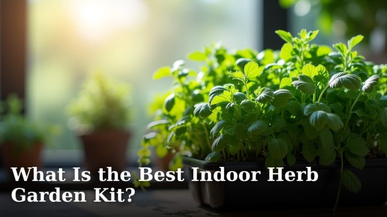 What Is the Best Indoor Herb Garden Kit?