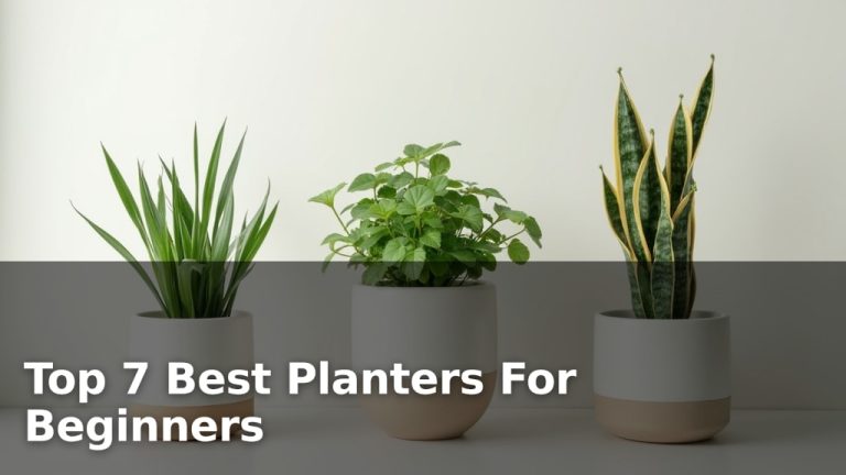 Top 7 Best Planters For Beginners
