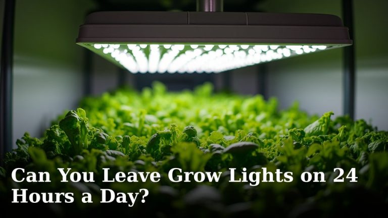 Can You Leave Grow Lights on 24 Hours a Day?