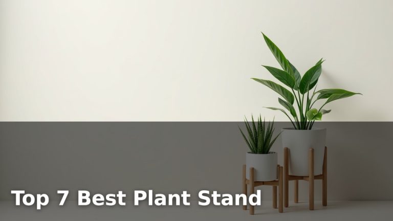 Top 7 Best Plant Stand