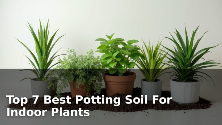 Top 7 Best Potting Soil For Indoor Plants