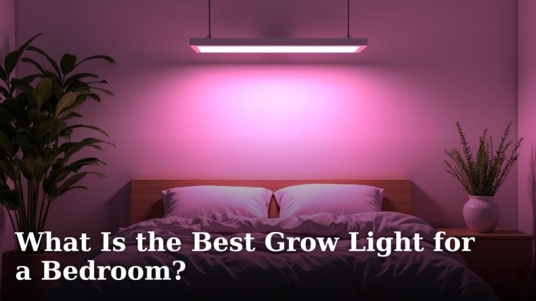 What Is the Best Grow Light for a Bedroom?