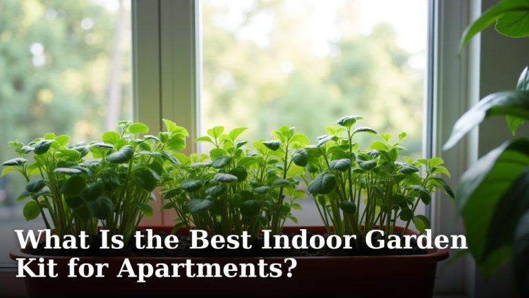 What Is the Best Indoor Garden Kit for Apartments?