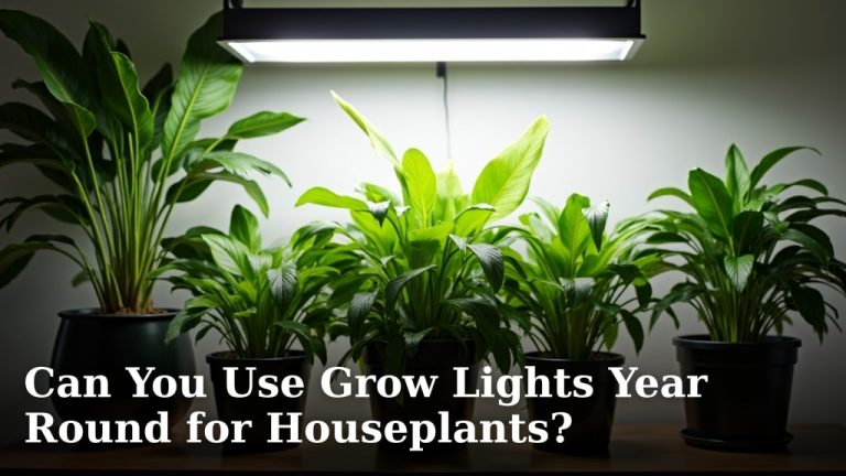 Can You Use Grow Lights Year Round for Houseplants?