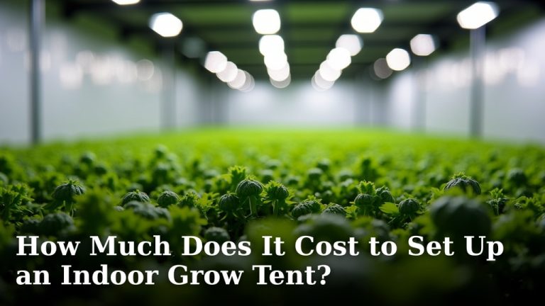 How Much Does It Cost to Set Up an Indoor Grow Tent?
