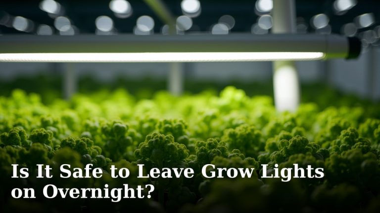 Is It Safe to Leave Grow Lights on Overnight?
