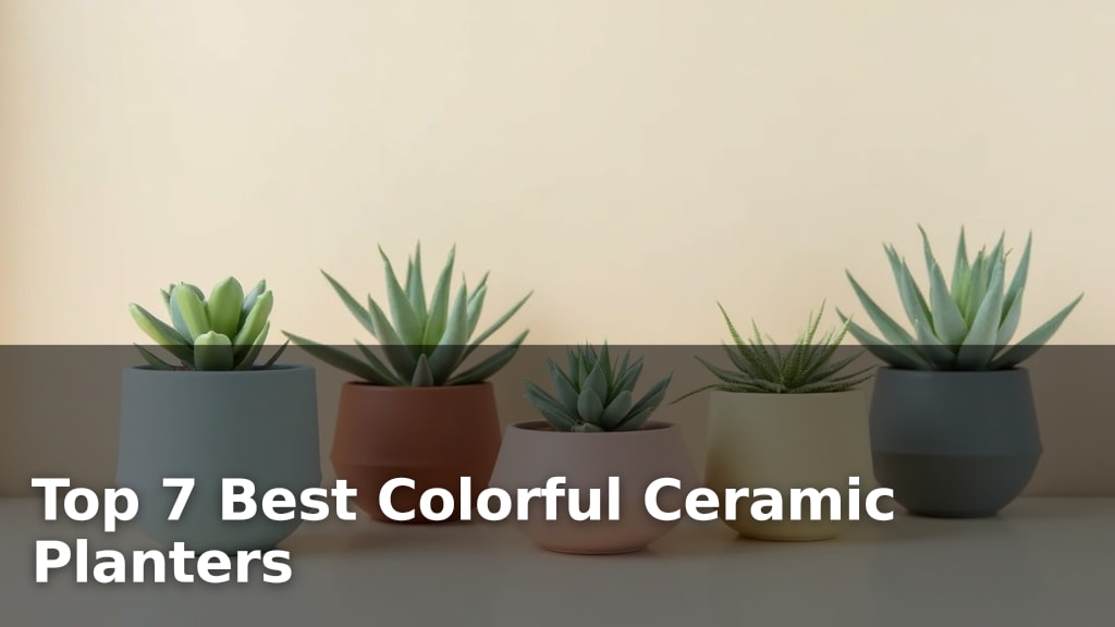 Top 7 Best Colorful Ceramic Planters
