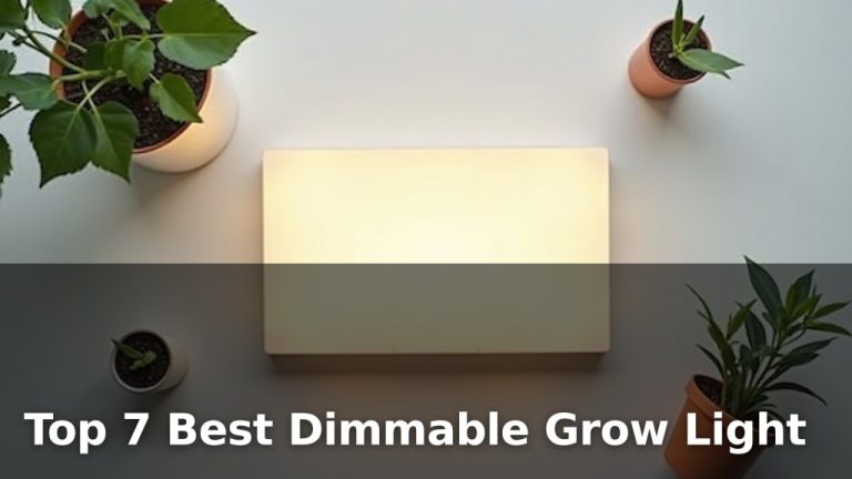 Top 7 Best Dimmable Grow Light