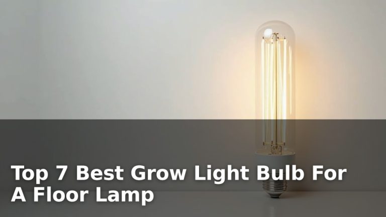 Top 7 Best Grow Light Bulb For A Floor Lamp