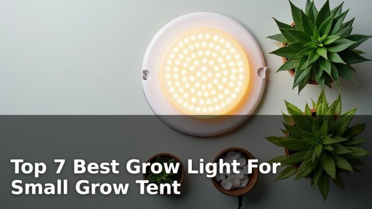 Top 7 Best Grow Light For Small Grow Tent