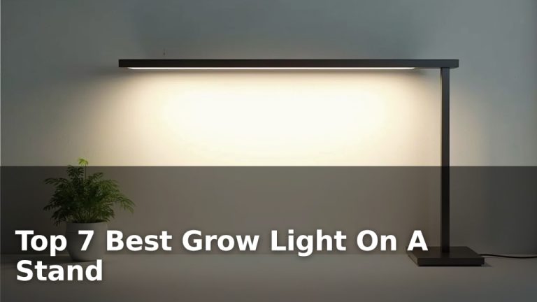 Top 7 Best Grow Light On A Stand