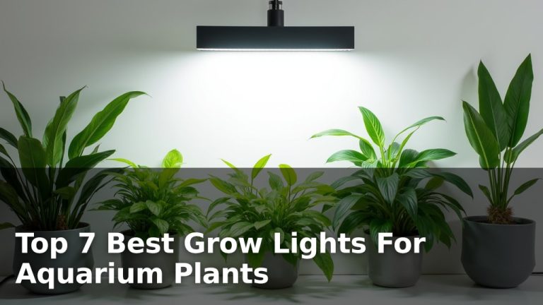 Top 7 Best Grow Lights For Aquarium Plants