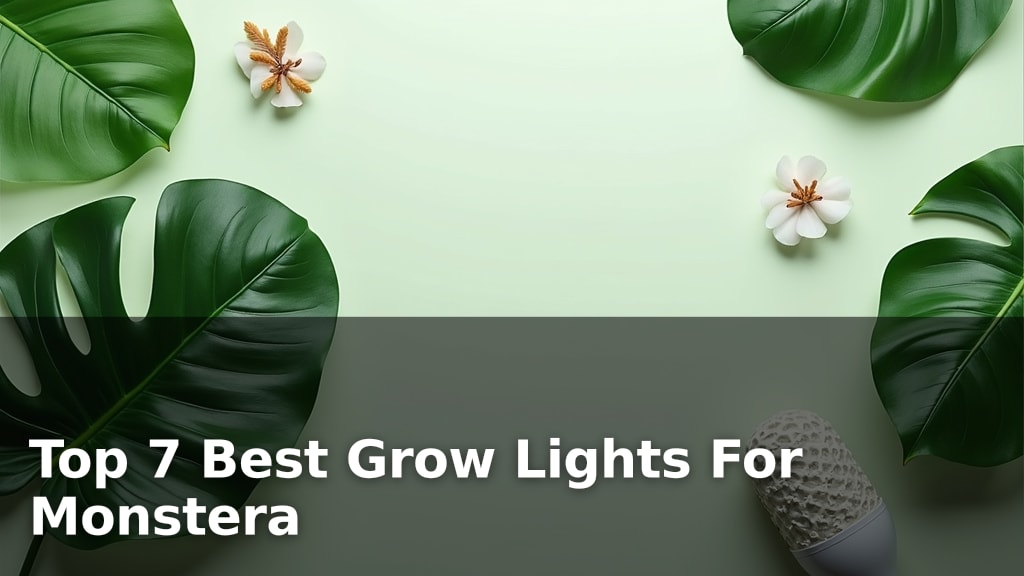 Top 7 Best Grow Lights For Monstera