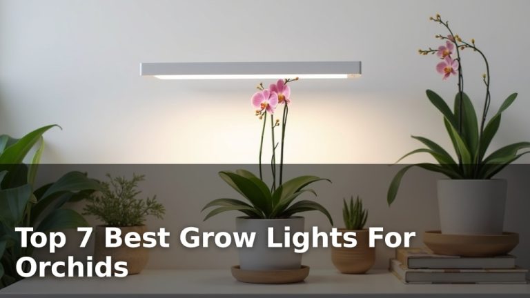 Top 7 Best Grow Lights For Orchids