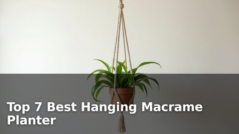 Top 7 Best Hanging Macrame Planter
