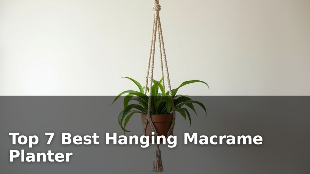 Top 7 Best Hanging Macrame Planter