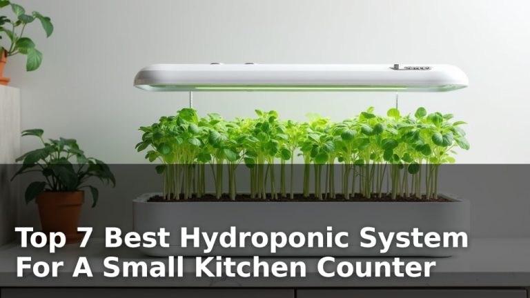 Top 7 Best Hydroponic System For A Small Kitchen Counter