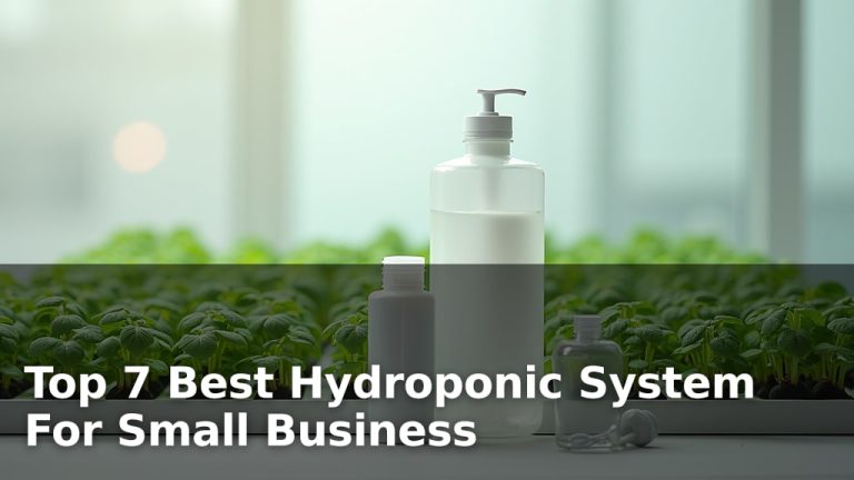 Top 7 Best Hydroponic System For Small Business