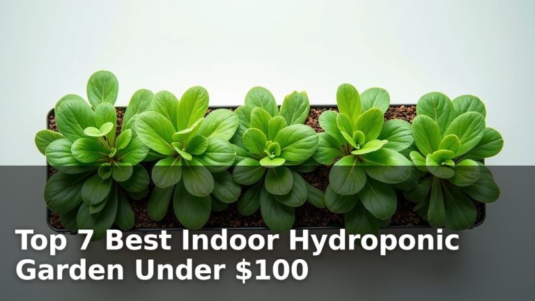 Top 7 Best Indoor Hydroponic Garden Under $100
