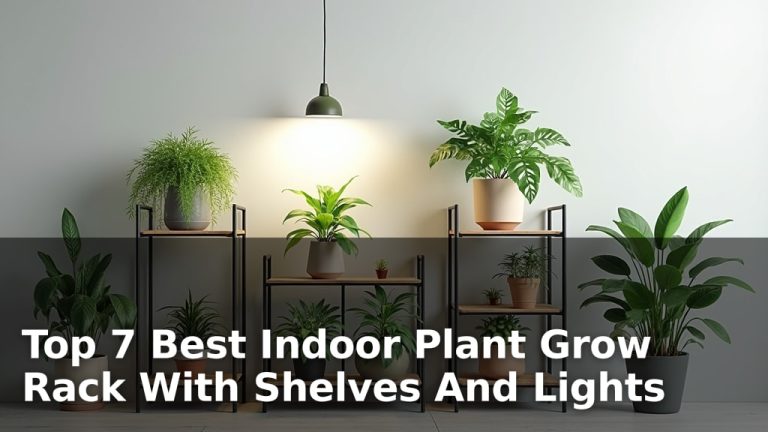 Top 7 Best Indoor Plant Grow Rack With Shelves And Lights