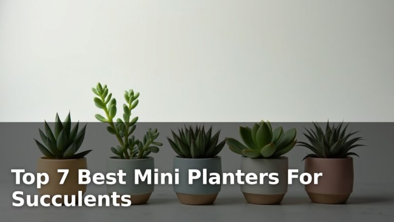 Top 7 Best Mini Planters For Succulents