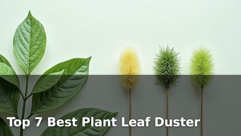 Top 7 Best Plant Leaf Duster