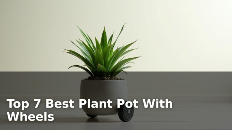 Top 7 Best Plant Pot With Wheels