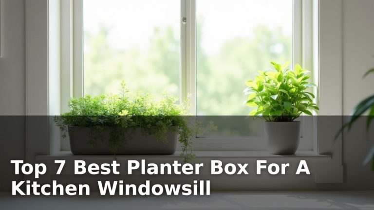 Top 7 Best Planter Box For A Kitchen Windowsill