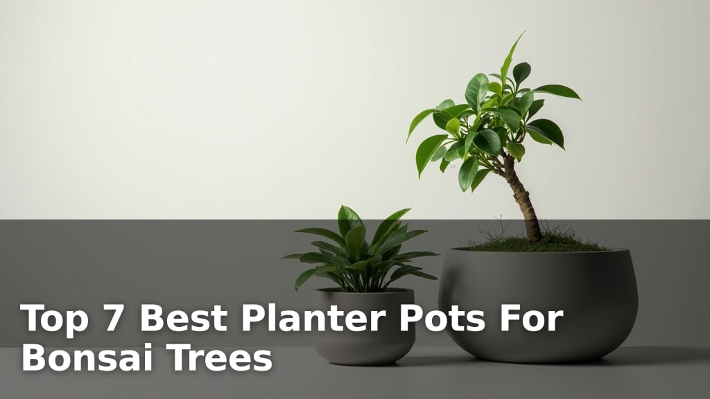 Top 7 Best Planter Pots For Bonsai Trees