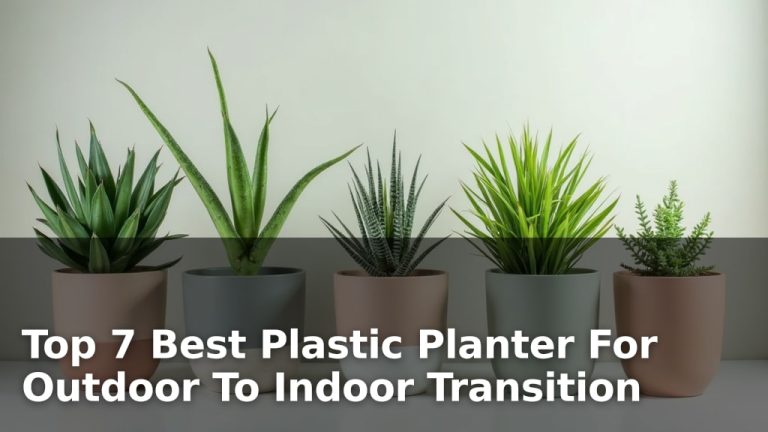 Top 7 Best Plastic Planter For Outdoor To Indoor Transition