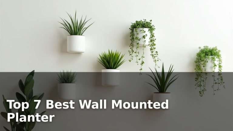 Top 7 Best Wall Mounted Planter