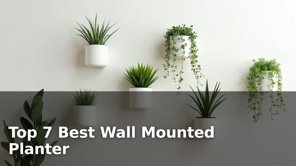 Top 7 Best Wall Mounted Planter