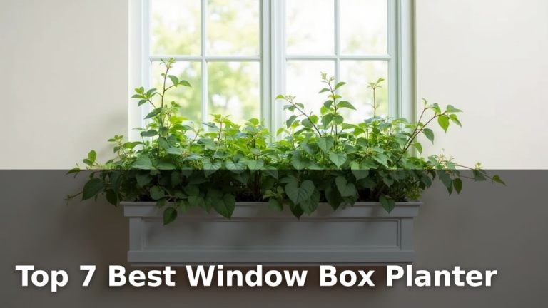 Top 7 Best Window Box Planter