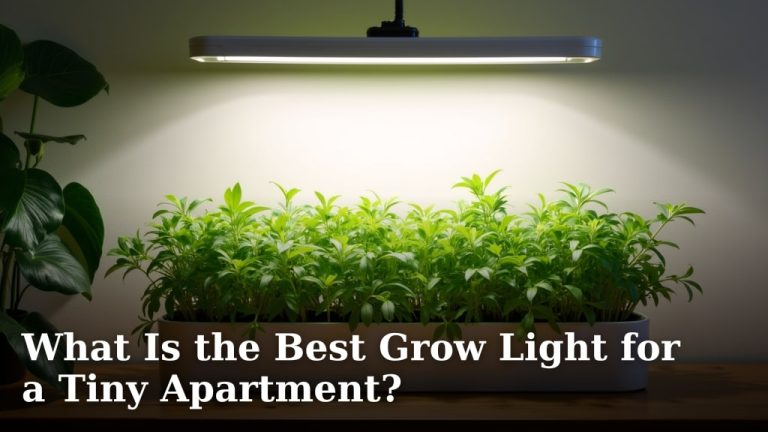 What Is the Best Grow Light for a Tiny Apartment?