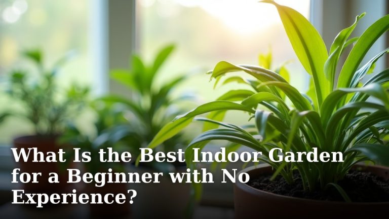 What Is the Best Indoor Garden for a Beginner with No Experience?