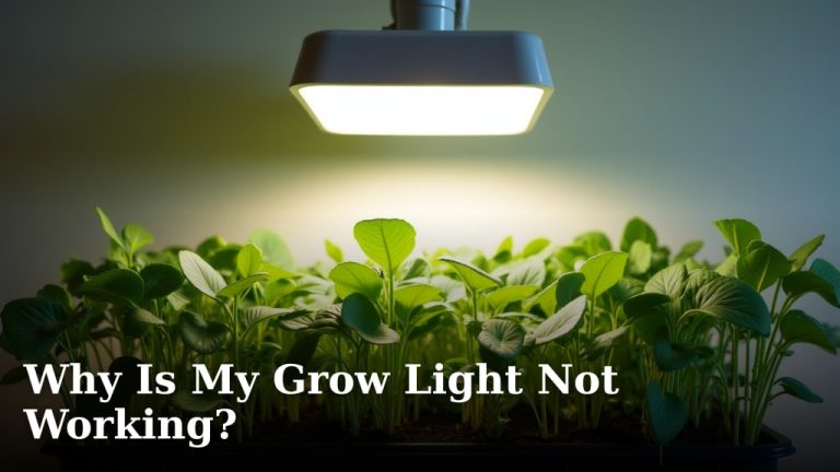 Why Is My Grow Light Not Working?