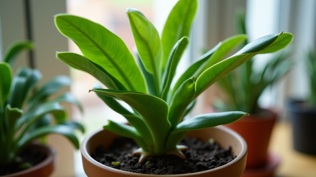 Caring for Your ZZ Plant in Low-Light Conditions