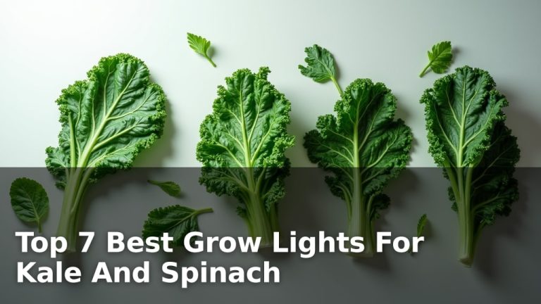 Top 7 Best Grow Lights For Kale And Spinach